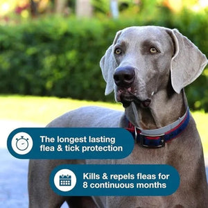 Large Dogs Collar Flea & Tick Collar Over 18 lbs, 8 Month Protection